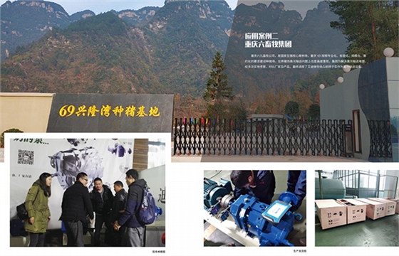 六九畜牧转子泵.jpg