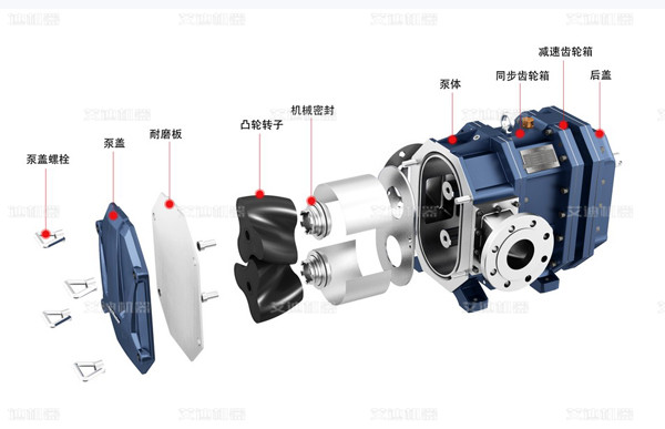 凸轮转子泵局部分解图片.jpg