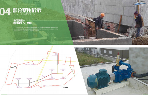 铁骑力士集团用U乐国际转子泵.jpg